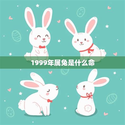 1999兔|属兔1999年是什么命 属兔的性格特征